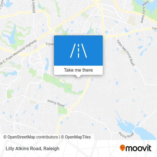 Lilly Atkins Road map