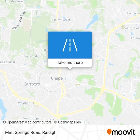 Mint Springs Road map