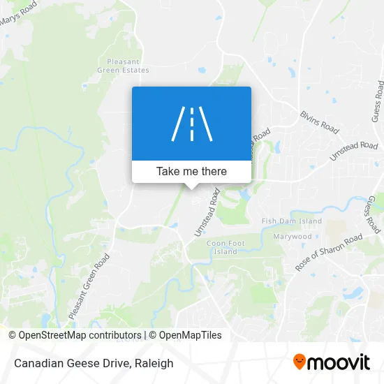 Canadian Geese Drive map