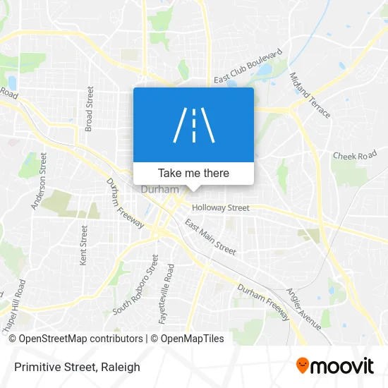 Primitive Street map