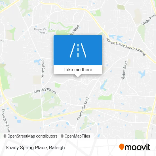 Shady Spring Place map