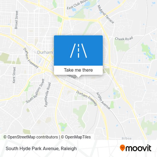 South Hyde Park Avenue map
