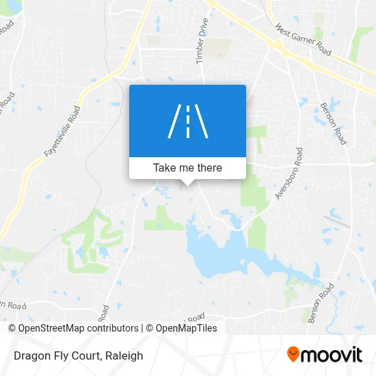 Dragon Fly Court map