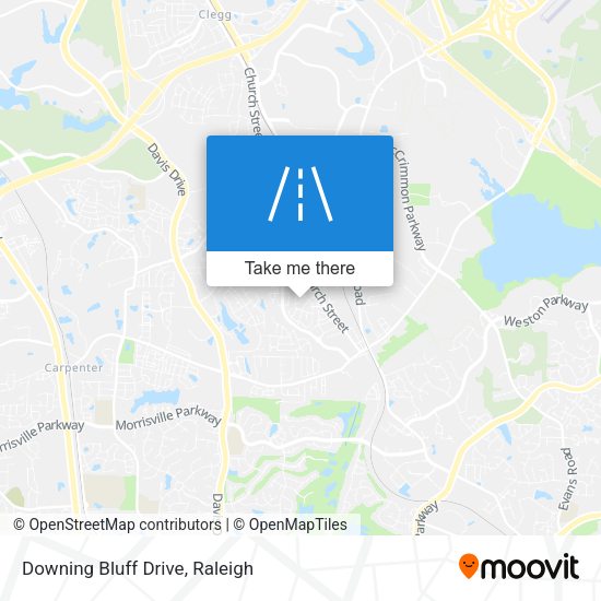 Downing Bluff Drive map