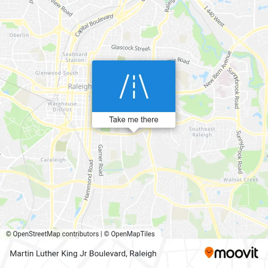 Martin Luther King Jr Boulevard map