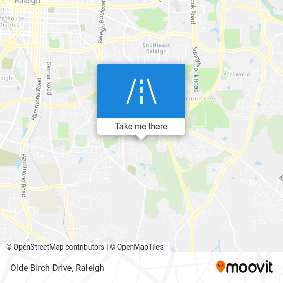 Olde Birch Drive map