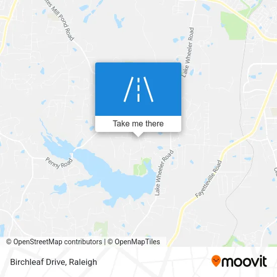 Birchleaf Drive map