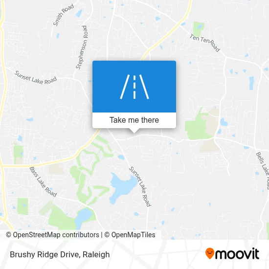 Brushy Ridge Drive map