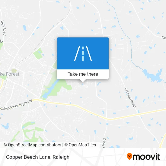 Copper Beech Lane map