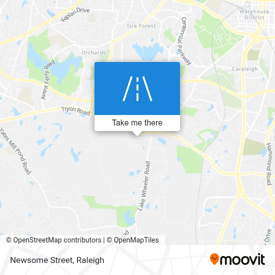 Newsome Street map