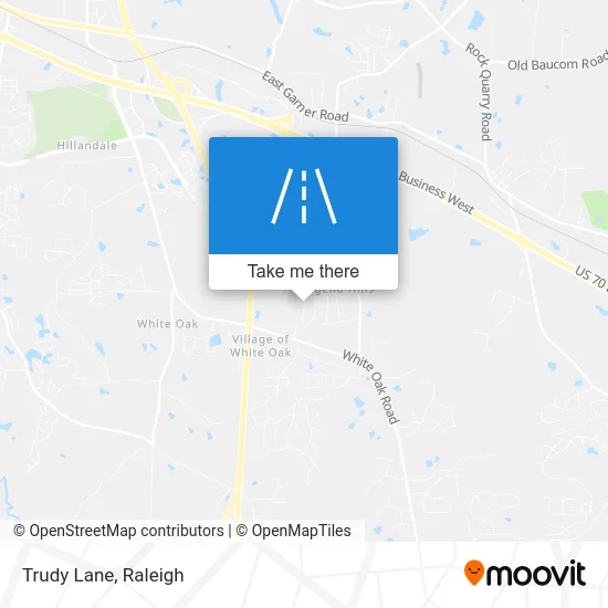 Trudy Lane map