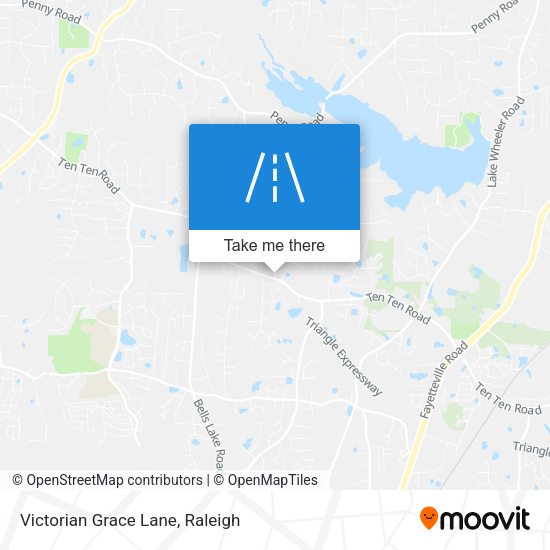 Victorian Grace Lane map