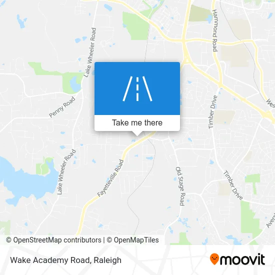 Wake Academy Road map