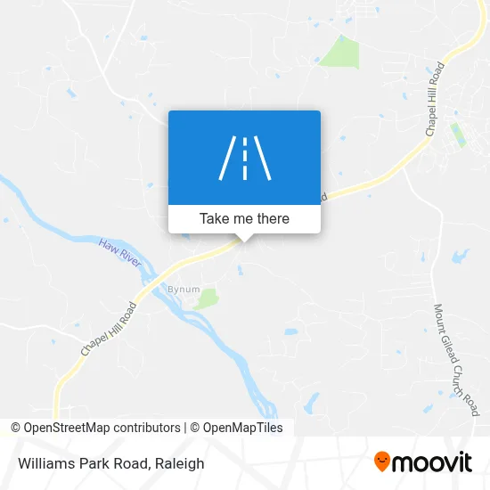 Williams Park Road map