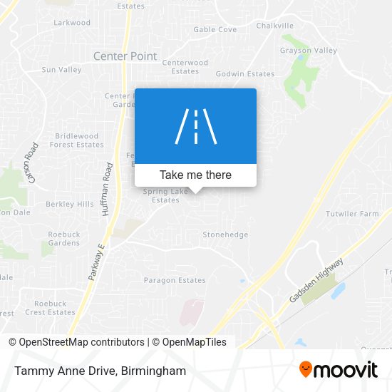 Mapa de Tammy Anne Drive