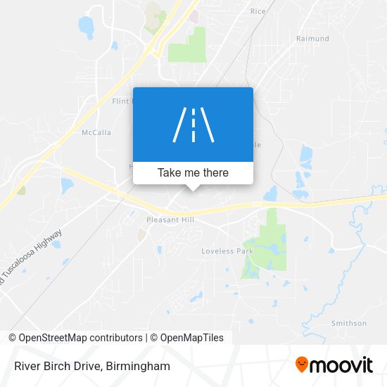 Mapa de River Birch Drive