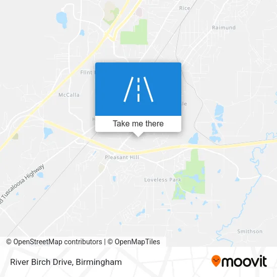River Birch Drive map