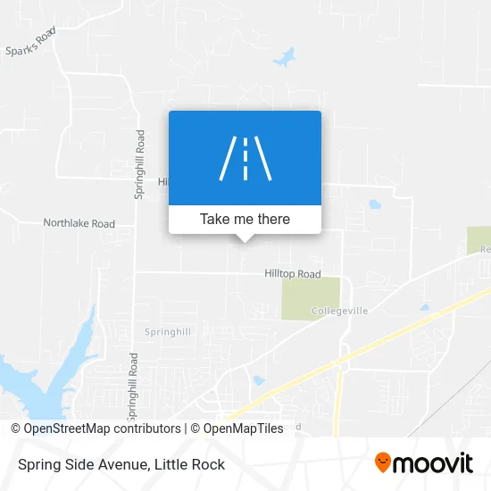 Spring Side Avenue map