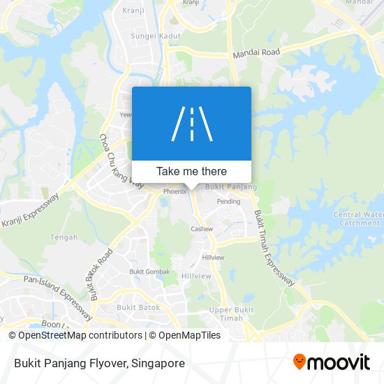 Bukit Panjang Flyover地图