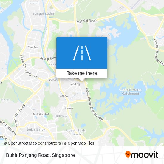 Bukit Panjang Road map