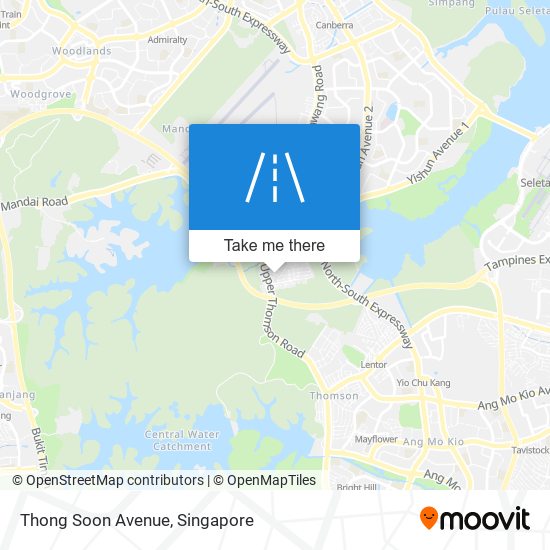 Thong Soon Avenue map