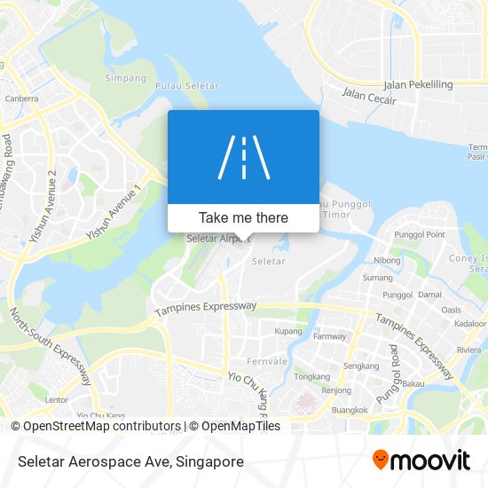 Seletar Aerospace Ave map