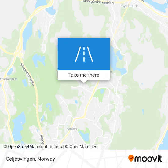 Seljesvingen map
