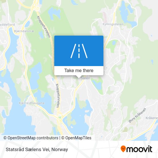 Statsråd Sælens Vei map