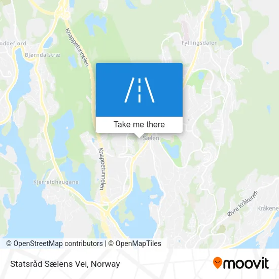 Statsråd Sælens Vei map