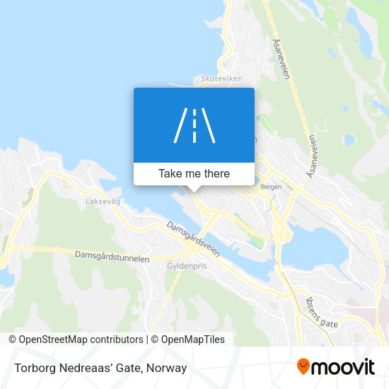 Torborg Nedreaas’ Gate map