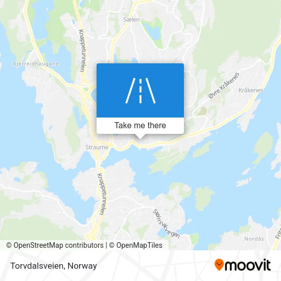 Torvdalsveien map