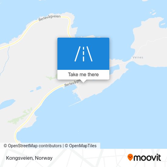 Kongsveien map