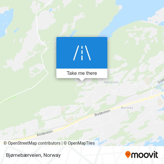 Bjørnebærveien map