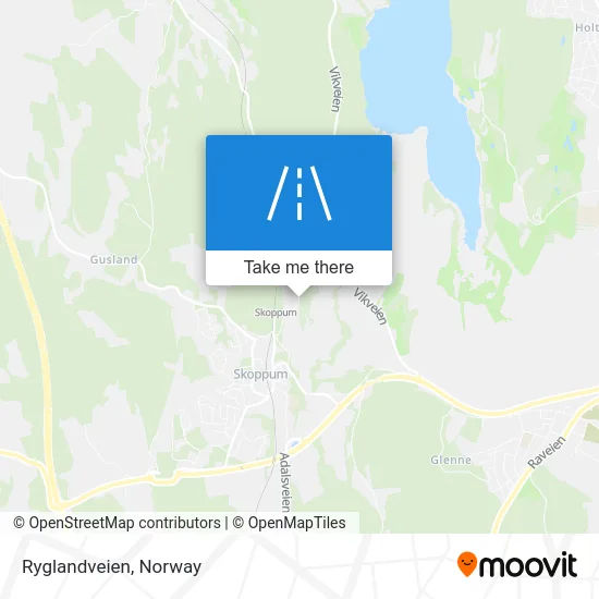 Ryglandveien map