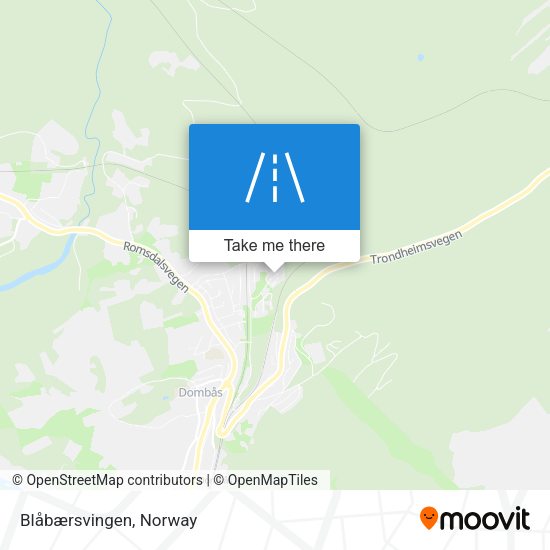 Blåbærsvingen map