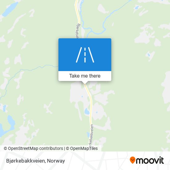 Bjørkebakkveien map