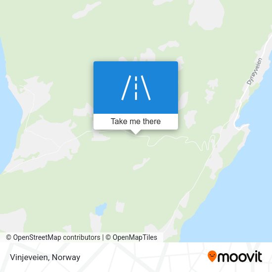 Vinjeveien map