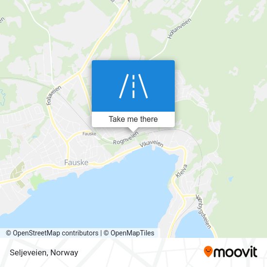 Seljeveien map