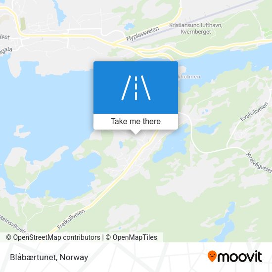 Blåbærtunet map