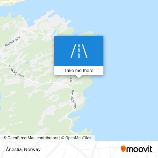 Åneslia map