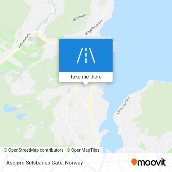 Asbjørn Selsbanes Gate map