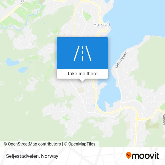 Seljestadveien map