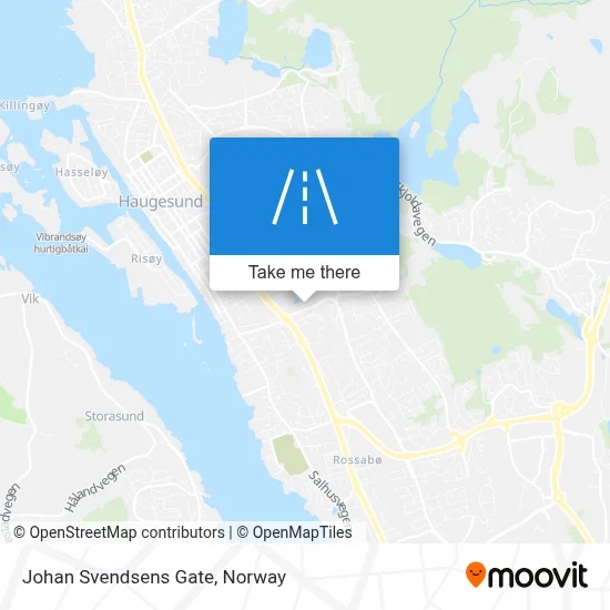 Johan Svendsens Gate map