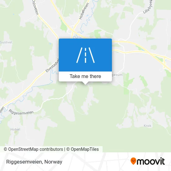 Riggesemveien map