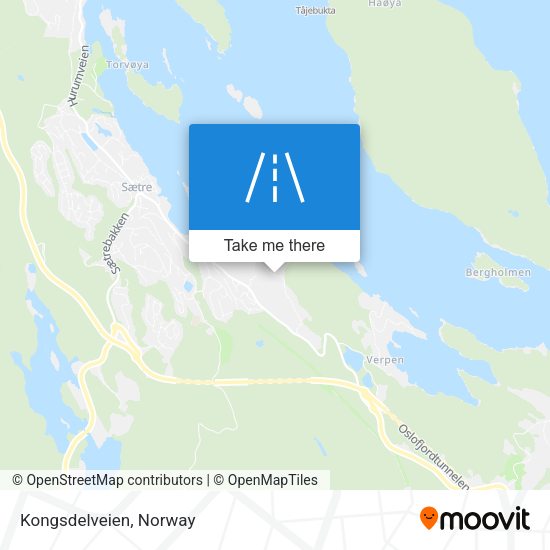 Kongsdelveien map