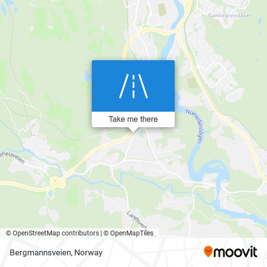 Bergmannsveien map