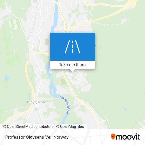 Professor Olavsens Vei map