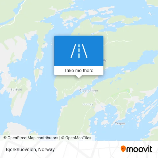 Bjerkhueveien map