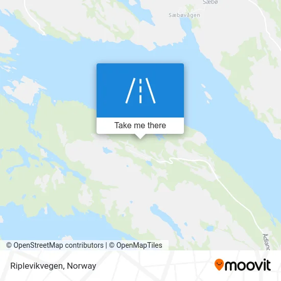 Riplevikvegen map
