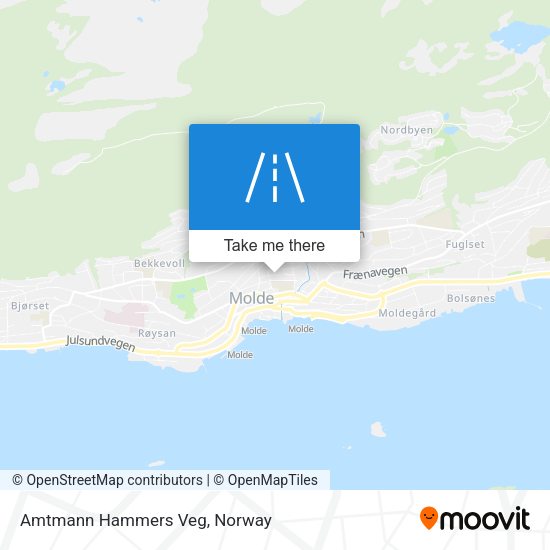 Amtmann Hammers Veg map